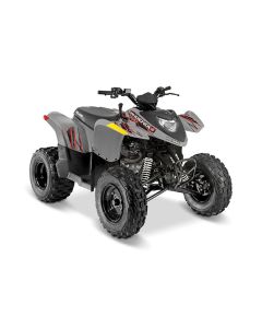 Polaris PHOENIX 200 Terräng 2024 Avalanche Gray